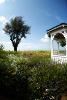 Harrington House Beachfront Bed & Breakfast Inn, Bradenton Beach