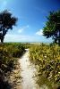 Harrington House Beachfront Bed & Breakfast Inn, Bradenton Beach
