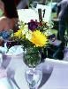 Nixon's Farm And Catering, West Friendship