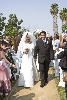 A Victorian Tropical Garden, STARR Mansion Wedding & Events Facility, Vallejo