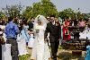 A Victorian Tropical Garden, STARR Mansion Wedding & Events Facility, Vallejo