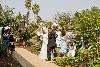 A Victorian Tropical Garden, STARR Mansion Wedding & Events Facility, Vallejo