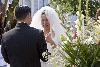 A Victorian Tropical Garden, STARR Mansion Wedding & Events Facility, Vallejo