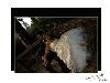 Photography with Jen, Dunnville — Let Jen capture the candid moments of your day - so you'll have memories of a lifetime!