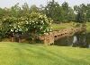 Buck Ridge Plantation, Orangeburg