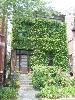 China Doll Guest House, Chicago — China Doll Guest House