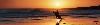 Susan Helgeson Photography, Santa Cruz