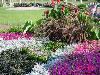 Anderson Dance Pavilion, Anderson Dance Pavilion, Sioux City — Flower beds for scenic backdrops.