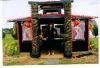 Castle of Paradise, Castle of Paradise, Griffin — Custom Exotic Oriental Teahouse