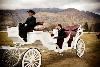 Horse Drawn Carriage, Logan — The elegant limosine Vis-a-Vis carriage is perfect for transportation from the church mass to the lunchean.  It can fit parents and the young lady who is celebrating her Quinceanera.