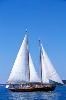 Bagheera, Portland Schooner Company, Portland