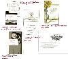 invitation imagination, Delray Beach — a variety of custom designed,layered invitations with custom artwork done for the specific bride