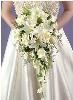 Aimee Amour Events & Services, Winnebago — Event Planner; Silk Floral Services; Decoration Services.
