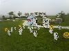 Coastal Yard Cards, Millsboro — Cow Display !