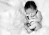 Bowes Photography, Calgary