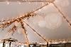 Covered Outdoor Veranda, Millcreek Inn, Salt Lake City — ceiling decor of canopy