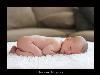 Nancarrow Photography, Victorville