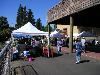 Parking Lot, Multnomah Arts Center, Portland