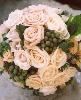 Your Very Own Fairy Godmother Weddings & Events, Round Rock