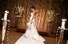 Your Very Own Fairy Godmother Weddings & Events, Round Rock