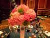 Alpha & Omega Event Consultants & More...., Jacksonville