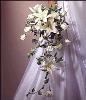 Magical Moment Weddings, Lehigh Acres