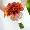 Magical Moment Weddings, Lehigh Acres