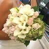 Magical Moment Weddings, Lehigh Acres