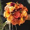 Magical Moment Weddings, Lehigh Acres
