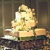 Magical Moment Weddings, Lehigh Acres