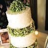 Magical Moment Weddings, Lehigh Acres