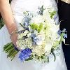 Magical Moment Weddings, Lehigh Acres