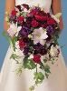 Magical Moment Weddings, Lehigh Acres