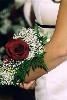 Magical Moment Weddings, Lehigh Acres