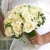 Magical Moment Weddings, Lehigh Acres