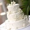 Magical Moment Weddings, Lehigh Acres