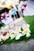 Magical Moment Weddings, Lehigh Acres