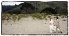 HOLMAN PHOTOGRAPHY, Pacifica