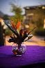 Party Stylings - Caterer, Castle Rock — Beautiful decor from our own in-house inventory.