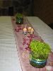 Positive Approach Events & Consulting, Jonesborough — Tablescapes