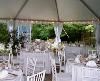 Entire Facility, The Beach Rose Inn Bed And Breakfast, Falmouth