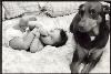 Beth Caron Photography, New York