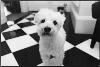 Beth Caron Photography, New York