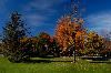 Classic Pixel Photography // info@classicpixel.com -|- 613-290-0548, Ottawa — Landscape Photography: Ottawa