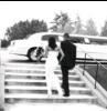 Presidential Limousine Service LTD, Cambridge