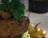 Silo Elevated Cuisine, San Antonio