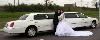 A CENTRAL LIMOS, Dallas