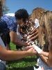 Create-Learning Team Building, Buffalo