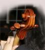 Shaw Strings, West Chester