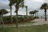 The Cottages on Charleston Harbor, The Cottages on Charleston Harbor, Mount Pleasant — Lawn #1